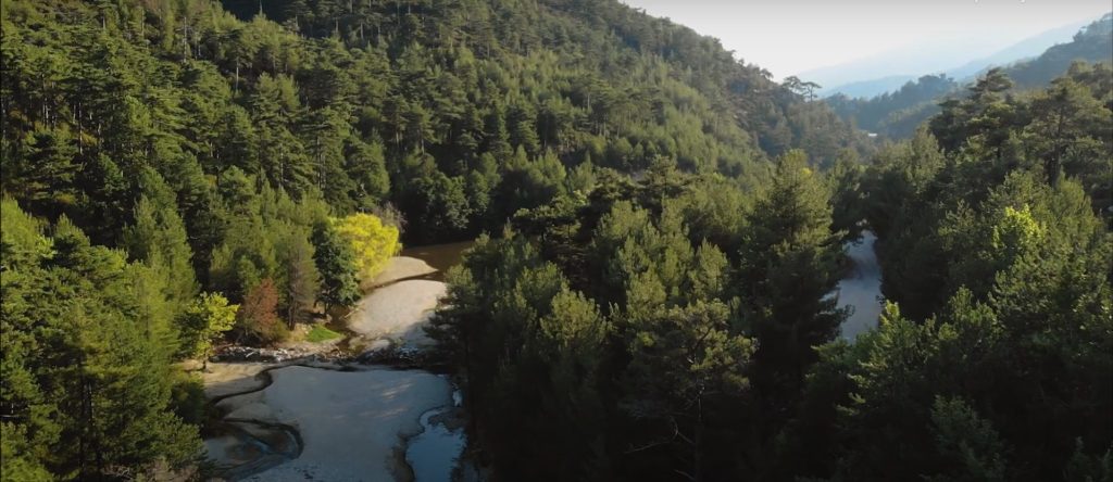 Pohled na jezero Maries na Thassosu a okolní lesy