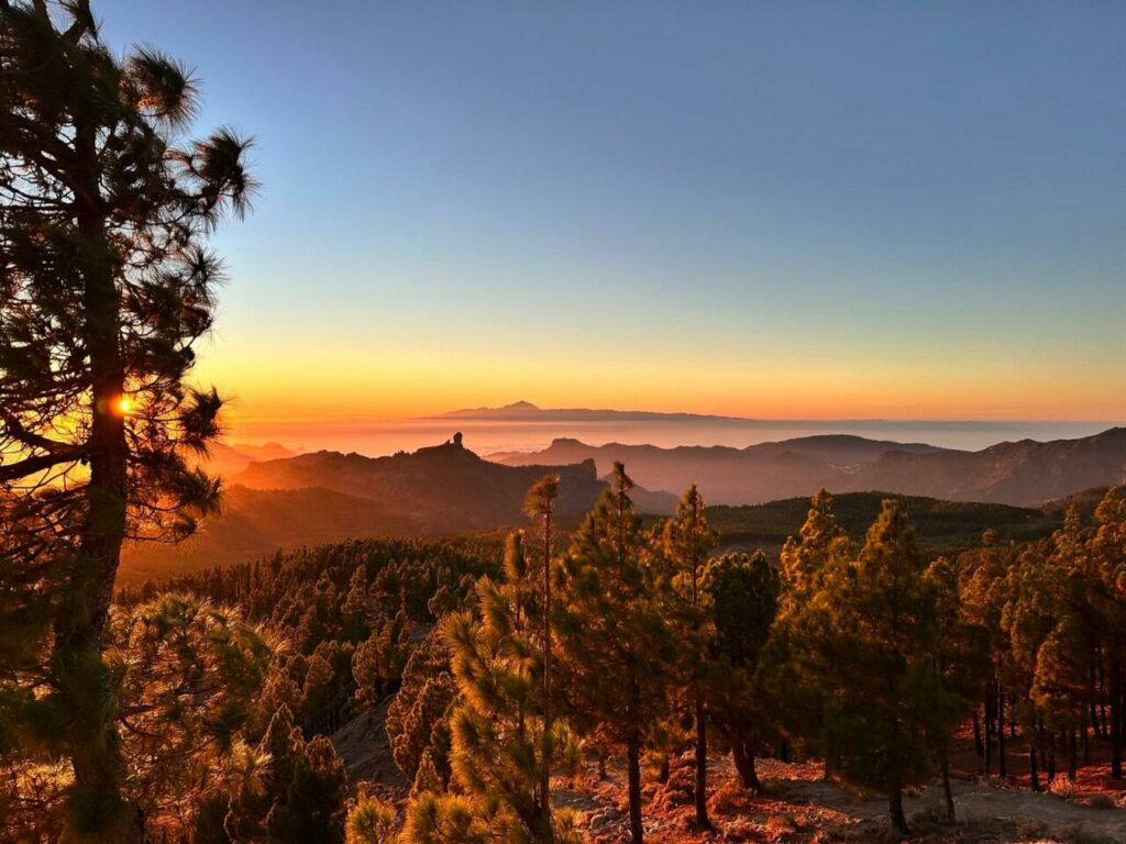 Západ slunce z Pico de las Nieves: borovice, hory a sopka Teide na Tenerife na obzoru
