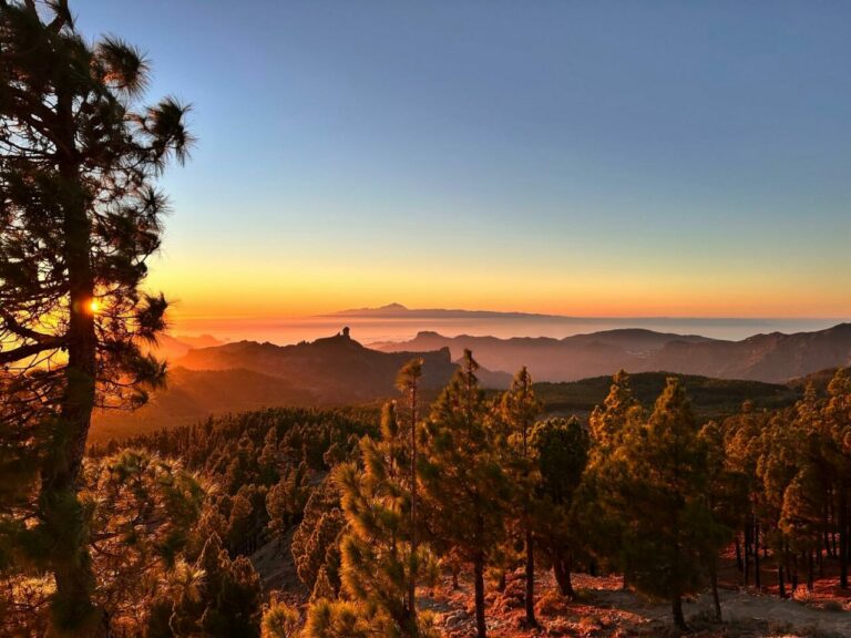 Západ slunce z Pico de las Nieves: borovice, hory a sopka Teide na Tenerife na obzoru