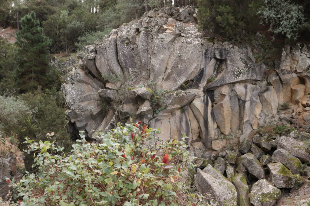 Margarita de Piedra – čedičová kamenná kopretina u silnice k Teide